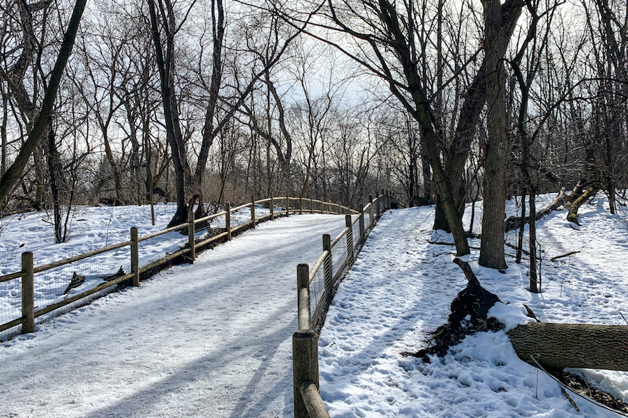 Snow Hike in High Park